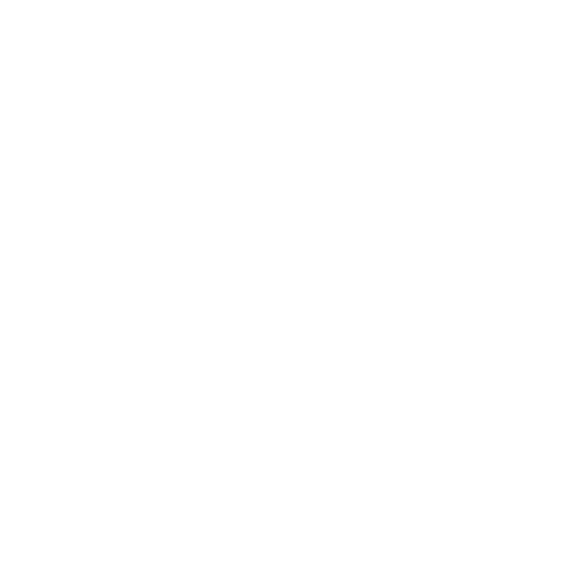 The shop of ShanBai